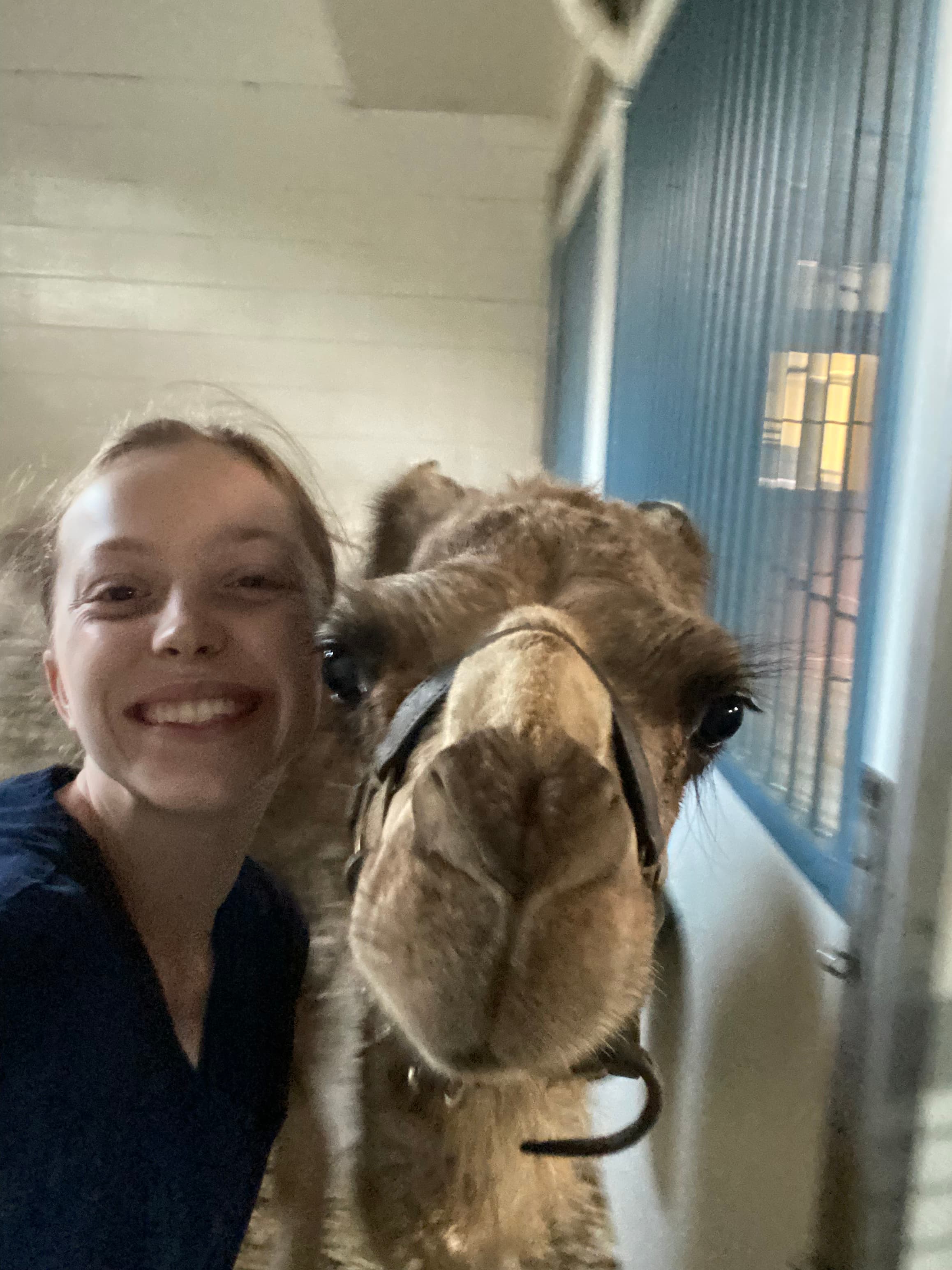 Sasha with a horse during a clinical rotation