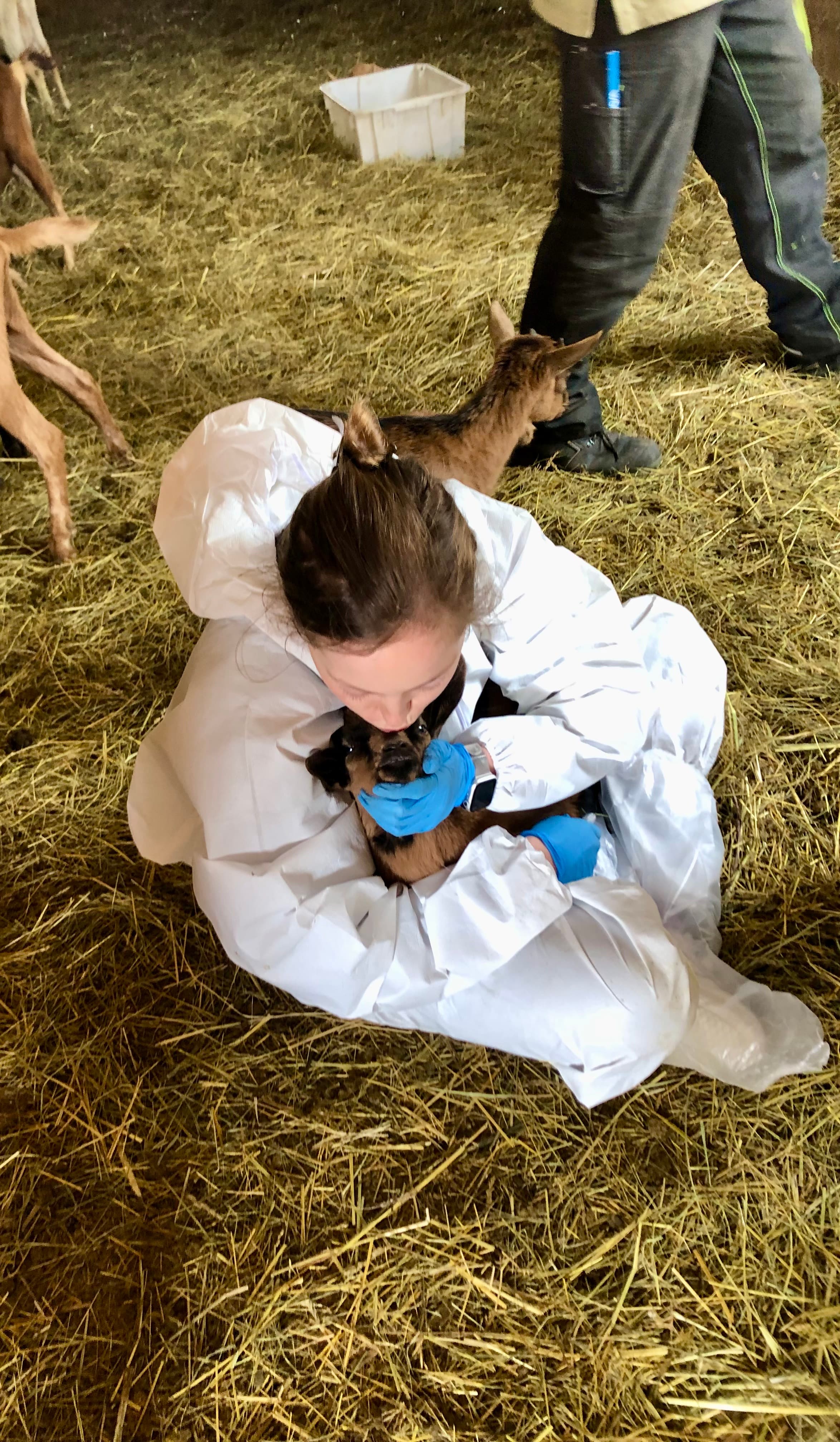 Sasha bottle-feeding a goat kid